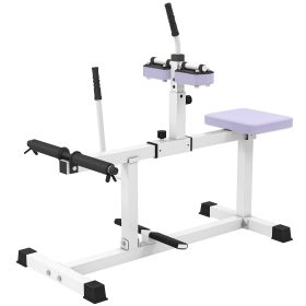Adjustable Steel Seated Calf Raise Exercise Strength Training Gym Equipment, Purple (Option: Purple-1090x480x150 mm)