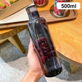 500ml Fashion Glass Water Bottle And Time Marker Creative Large Capacity Leakproof Drink Bottle Drop-Resistant Sport Outdoor (Capacity: 500ml, Color: black)